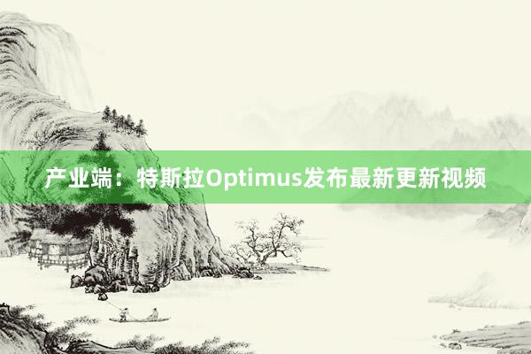 产业端：特斯拉Optimus发布最新更新视频